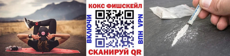 где купить   Снежногорск  КОКАИН VHQ 