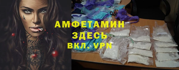 гидра Семилуки