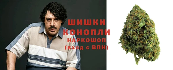 apvp Семёнов