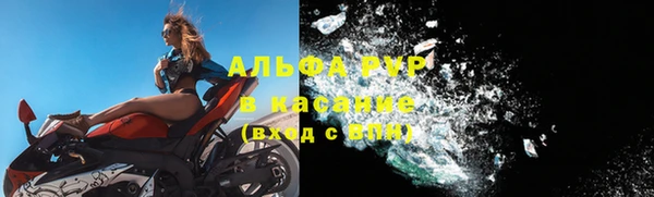 гидра Семилуки