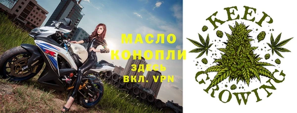 гидра Семилуки