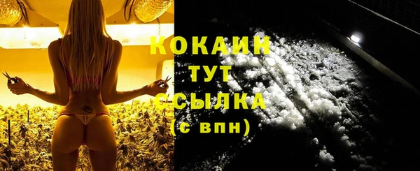 гидра Семилуки
