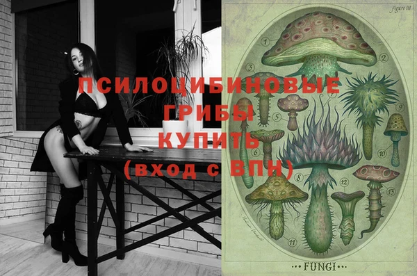 apvp Семёнов